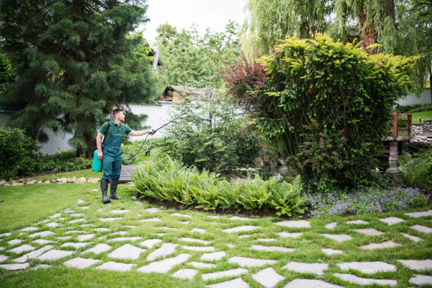 Best Exterminator Services  in Delhi, CA