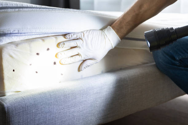 Best Best Pest Control Companies  in Delhi, CA