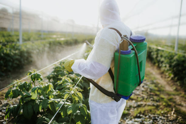 Best Spider Control Near Me  in Delhi, CA
